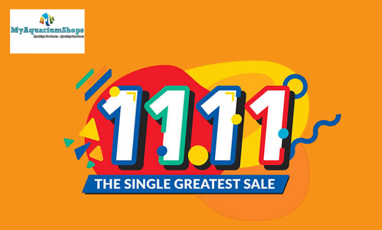 MyAquairumShops 11.11 Sales