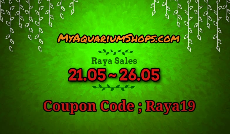 Raya 2019 Promo !