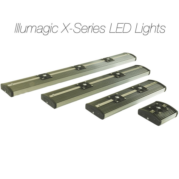 Illumagic Blaze X Series led lighting