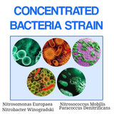 Nitrobac concentrated Aquarium Bacteria Capsule Nitrifying Bacteria for Fresh Marine Water Fish Tank ( 50 capsules) - #myaquariumshops#