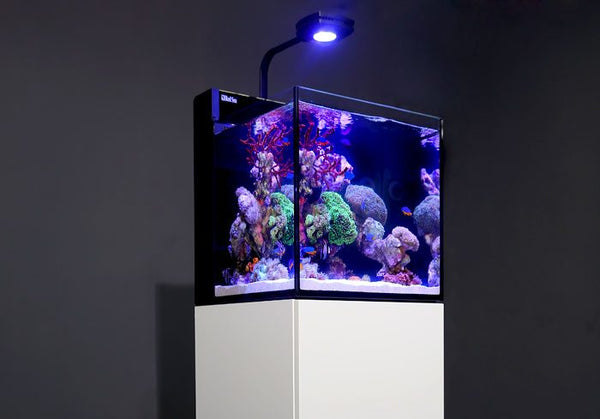 Red Sea Max Nano Complete System – MyAquariumshops