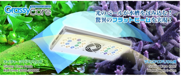 volx-japan-grassy-core-led-2r-