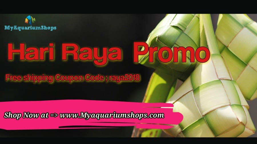 Hari raya 2018 promo !!