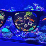 US style Pro reef coral viewing glass