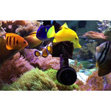 Pro reef premium seaweed ( nori) algae sheet for marine aquarium fishes ( 10 sheet ) - Large
