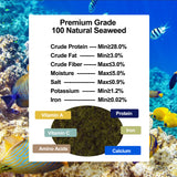 Pro reef premium seaweed ( nori) algae sheet for marine aquarium fishes ( 10 sheet ) - Large