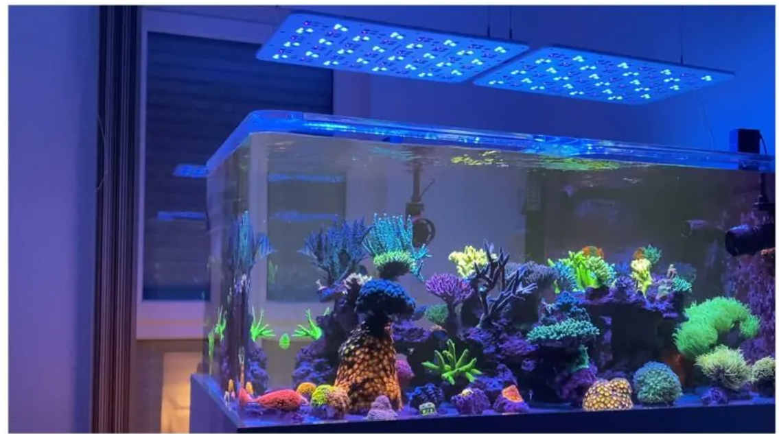 Reef Aquarium Led Lighting