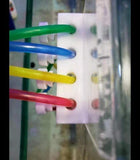 Candy colored Dosing tube BLUE - 1 meter / 5 meter / 10 meter