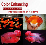 Astaxanthin Red Color food Enhancing Powder All Type Fishes Tropical Fish Goldfish KOI red arowana Fish Guppy Betta -30g