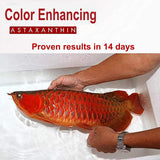 Astaxanthin Red Color food Enhancing Powder All Type Fishes Tropical Fish Goldfish KOI red arowana Fish Guppy Betta -30g