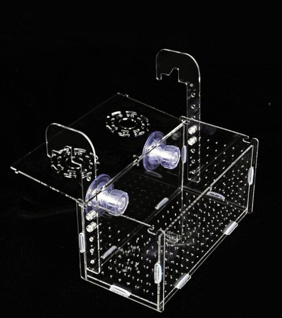 Acrylic fish isolation betta Box small/medium/large/X-large ...