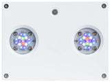 AI Hydra 32 HD LED Light Fixture - #myaquariumshops#