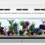 Apex Neptune Sky led aquarium lighting