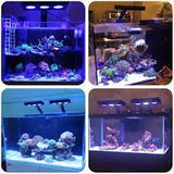 Aqua Knight Spectra nano aquarium led (M029) - Marine - #myaquariumshops#