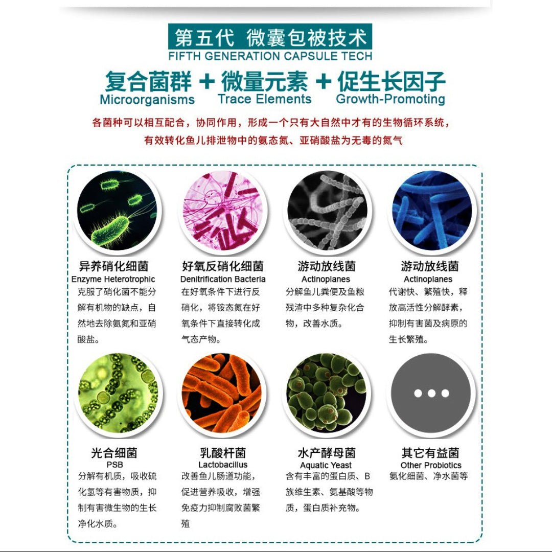 Bacter Bacter M Fresh/marine aquarium concentrated bacteria 100g ( Treat 10,0 ...