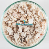 CaribSea Florida Crushed CoraL Sand - 40lbs - #myaquariumshops#