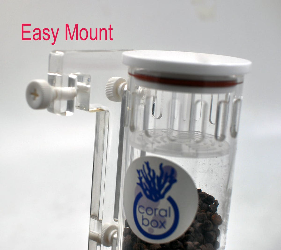 Coral box – MyAquariumshops