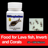 EZ Rotifer - concentrated freeze dry rotifer lava fry fish food and SPS/LPS coral food - #myaquariumshops#