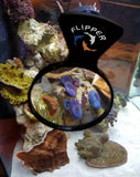 Flipper Deepsee Magnified magnetic aquarium viewer - #myaquariumshops#