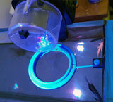 Floating feeding ring - #myaquariumshops#