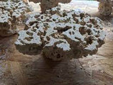 MARCOROCKS Pedestal Frag Top - Per Pc (3-5kg) / pcs