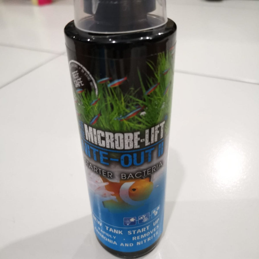 BACTERIA – MyAquariumshops