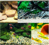 MoFishAqua cosmetic gravel aquarium sand substrate 2.5kg - #myaquariumshops#