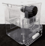 Mr Aqua breeder isolation / breeding house - #myaquariumshops#