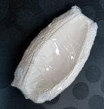 ocean wonders tridacna clam holder - #myaquariumshops#