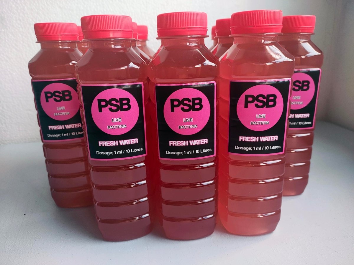 Psb Fish PSB live bacteria for freshwater / saltwater aquarium – MyAquariumshops