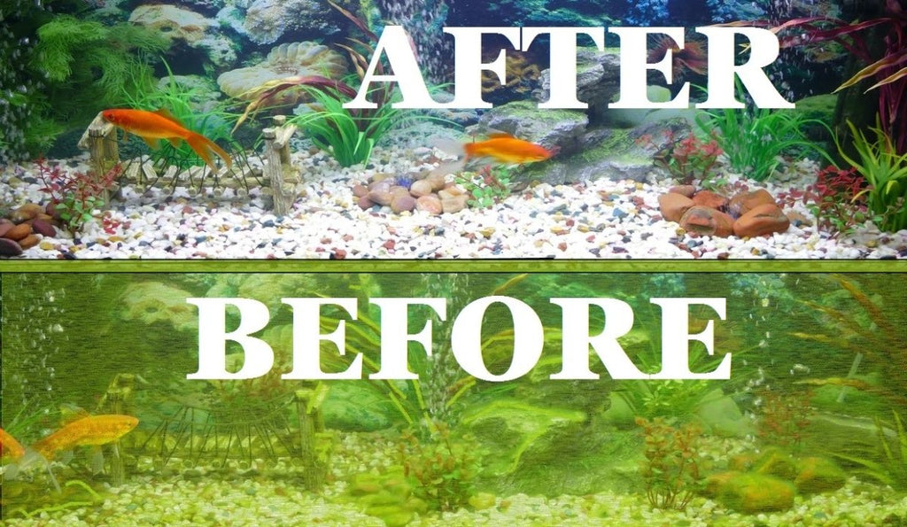 Psb Fish PSB live bacteria for freshwater / saltwater aquarium – MyAquariumshops