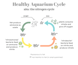 PSB live bacteria for freshwater / saltwater aquarium - #myaquariumshops#