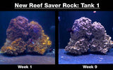 UWC Vibrant Reef Liquid Aquarium cleaner for saltwater aquarium - 8oz/16oz - #myaquariumshops#