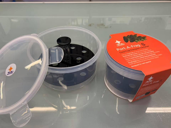 Wave Reef portable frag container – MyAquariumshops